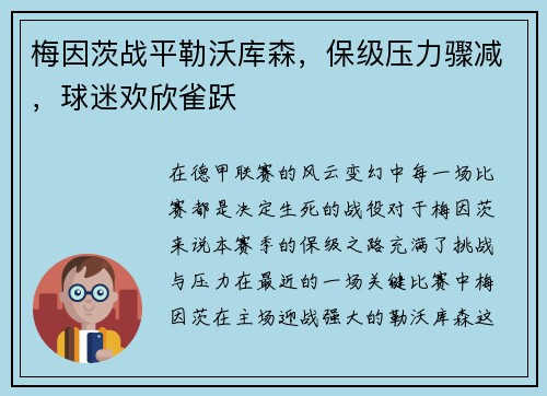 梅因茨战平勒沃库森，保级压力骤减，球迷欢欣雀跃