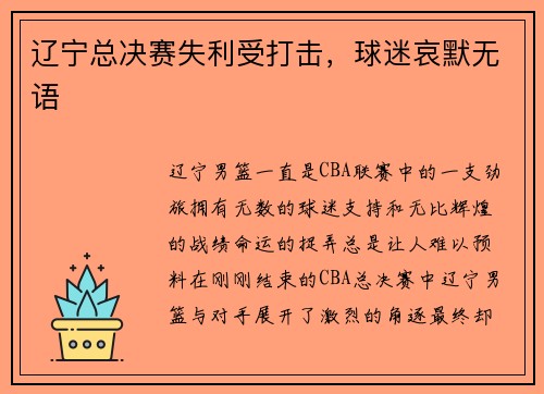 辽宁总决赛失利受打击，球迷哀默无语