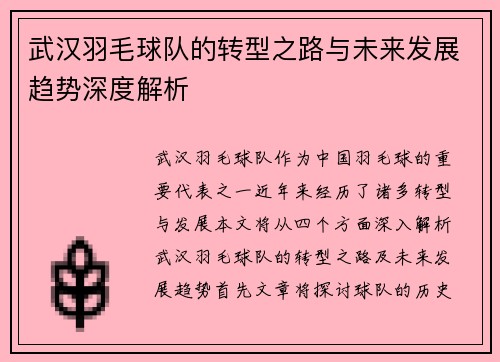 武汉羽毛球队的转型之路与未来发展趋势深度解析